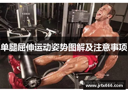 单腿屈伸运动姿势图解及注意事项