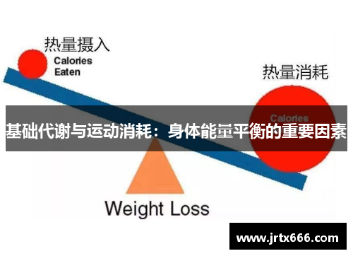 基础代谢与运动消耗:身体能量平衡的重要因素 基础代谢与运动消耗:身体能量平衡的重要因素