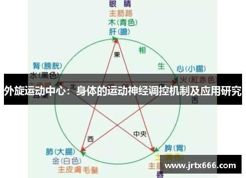 外旋运动中心：身体的运动神经调控机制及应用研究